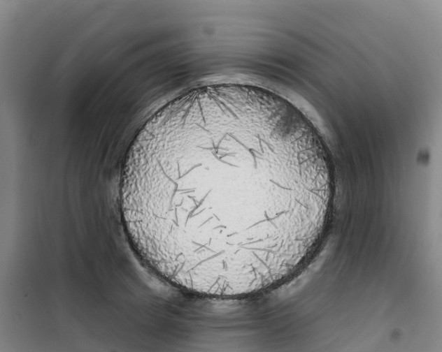 X0000100370849200807031900