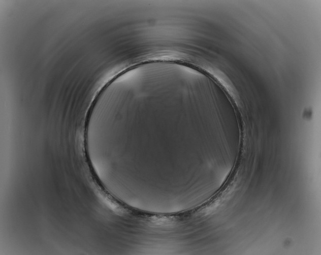 X0000100370850200807031901