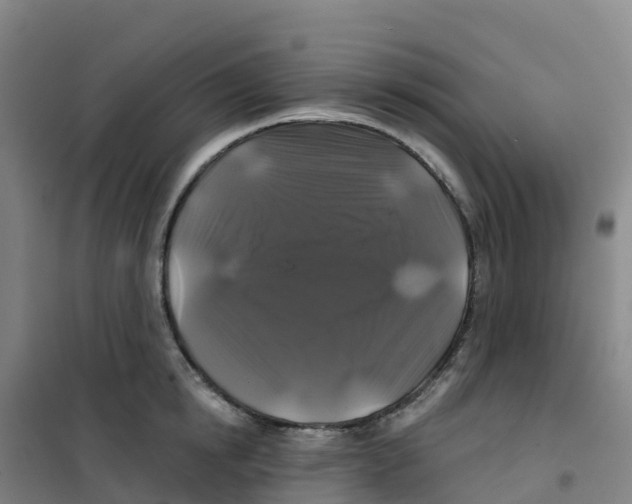 X0000100370854200807031901