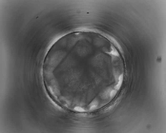 X0000100370855200807031901