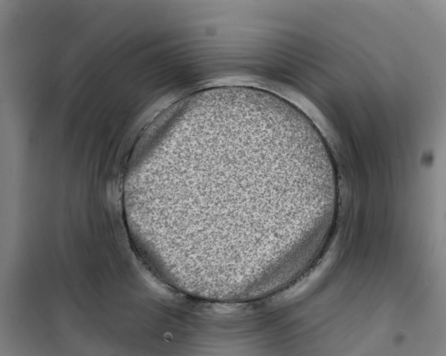 X0000100370857200807031901