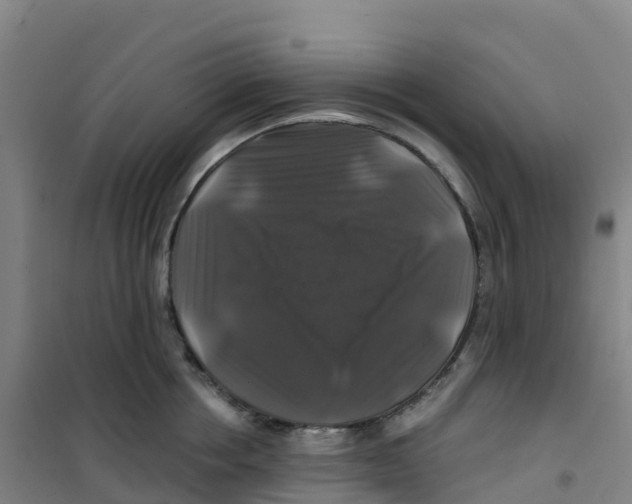 X0000100370858200807031901