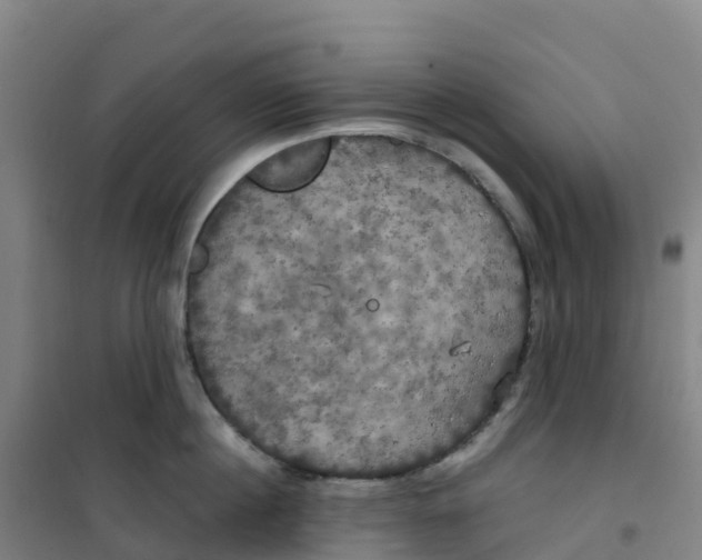 X0000100370860200807031901