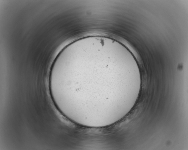 X0000100370861200807031901