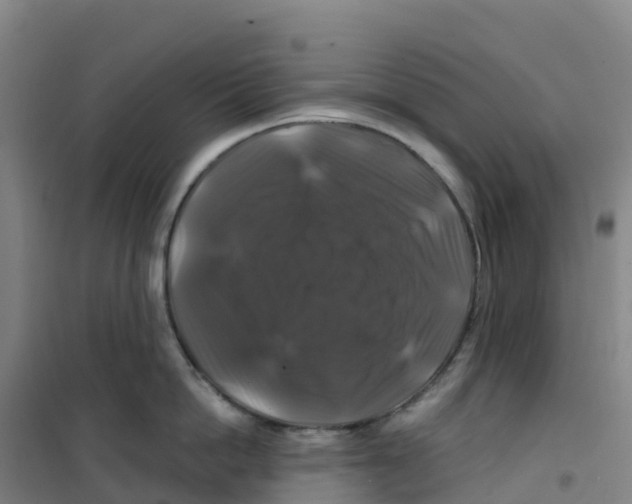 X0000100370862200807031901