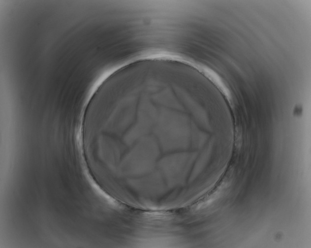 X0000100370863200807031901