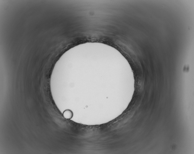 X0000100370865200807031900