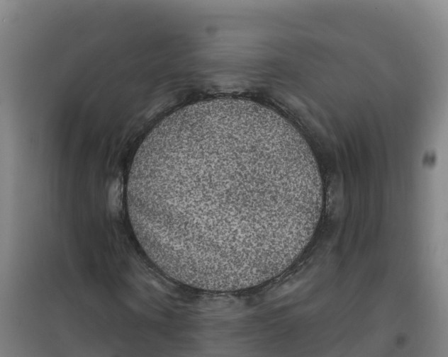 X0000100370866200807031900