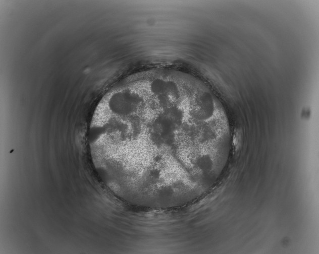 X0000100370867200807031900