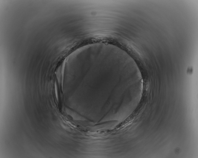 X0000100370868200807031900