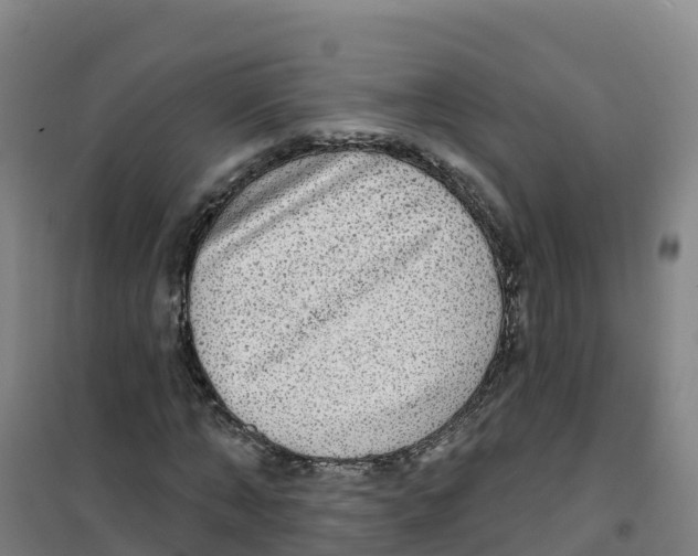 X0000100370870200807031900