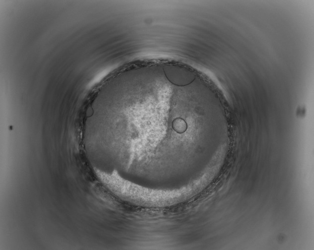 X0000100370871200807031900