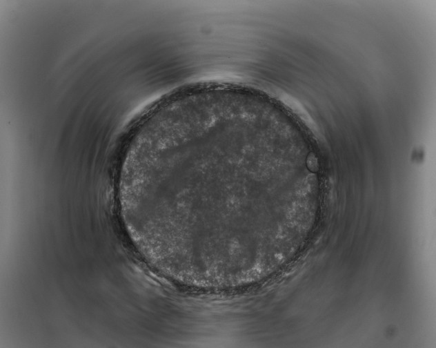 X0000100370872200807031900