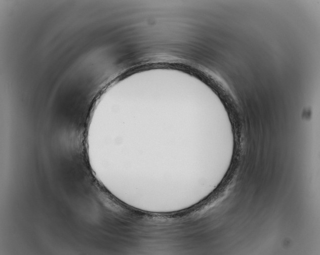 X0000100370873200807031900