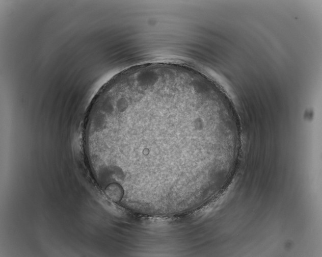 X0000100370875200807031900