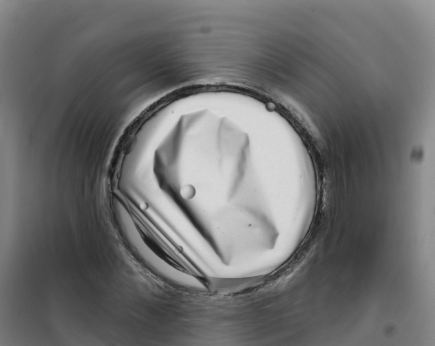 X0000100370876200807031900