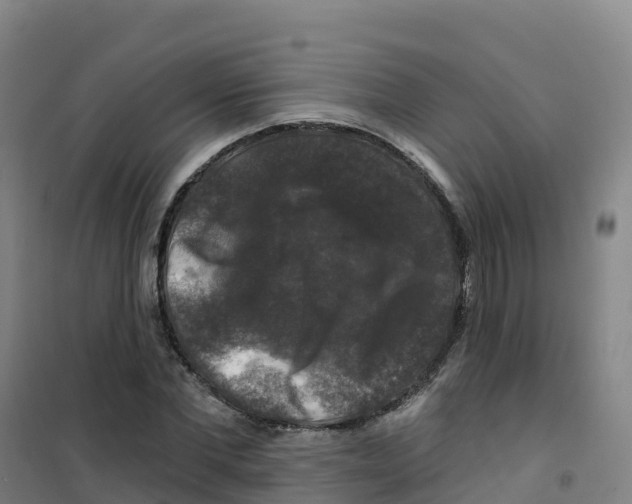 X0000100370877200807031900