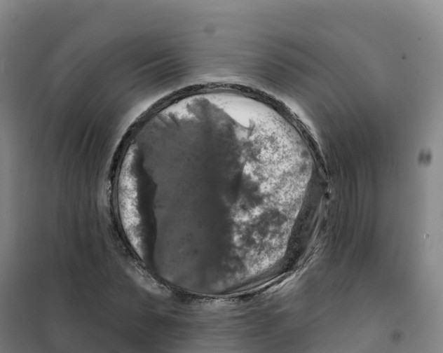 X0000100370879200807031900