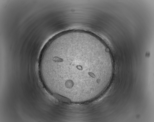 X0000100370880200807031900