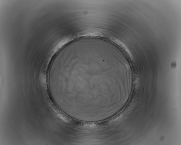 X0000100370882200807031900