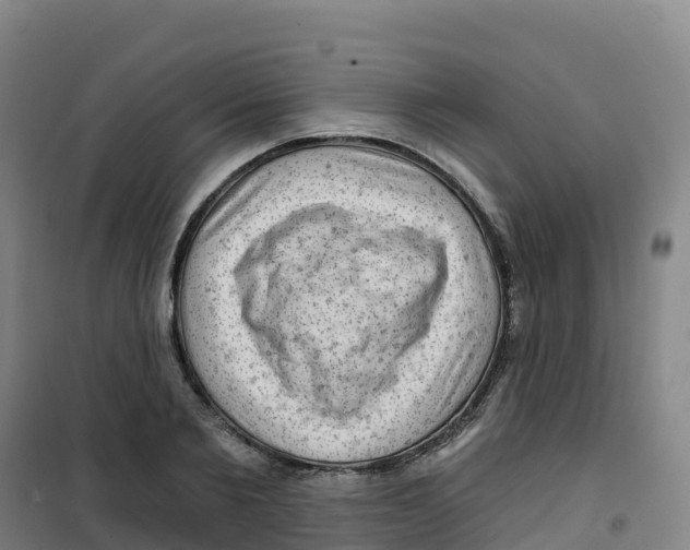 X0000100370885200807031900