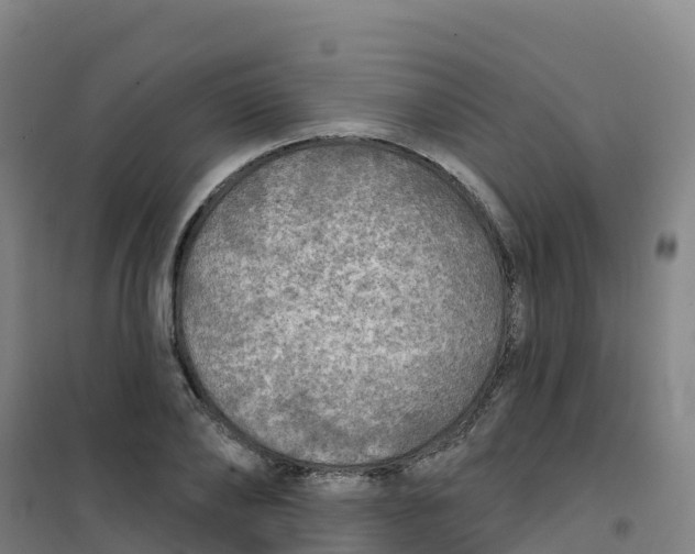 X0000100370886200807031900