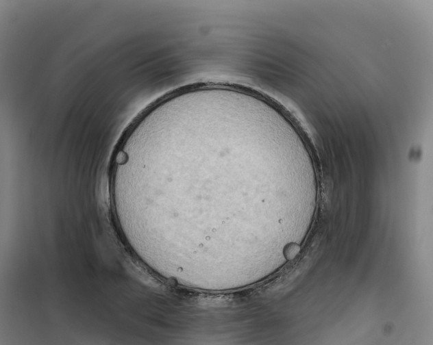 X0000100370887200807031900