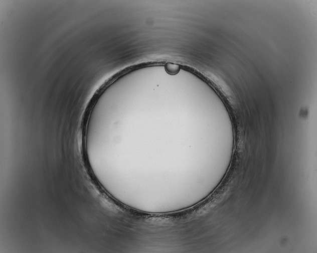 X0000100370888200807031900