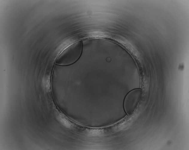 X0000100370889200807031900