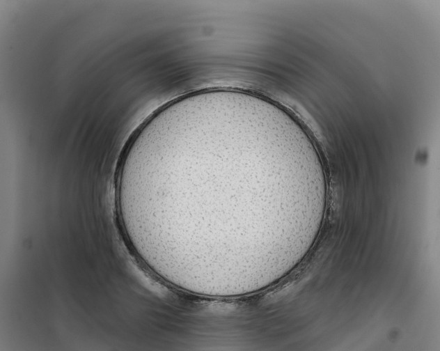 X0000100370890200807031900