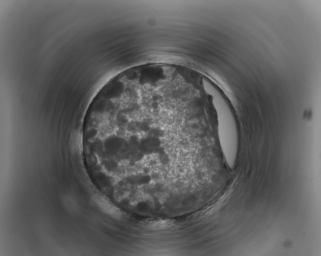 X0000100370891200807031859