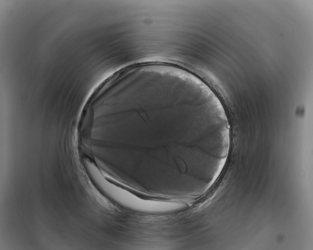 X0000100370892200807031859