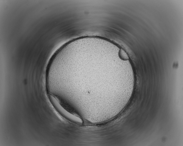 X0000100370894200807031859