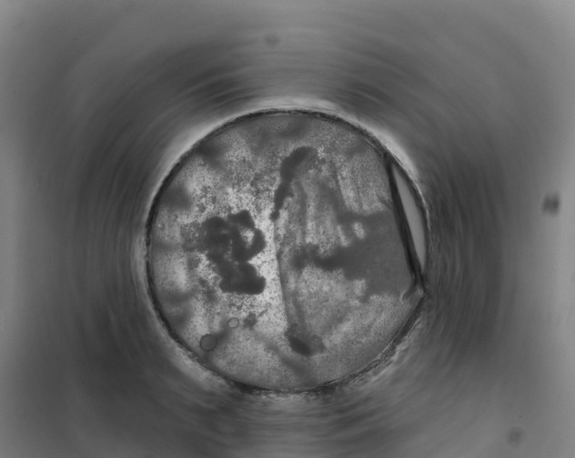 X0000100370895200807031859