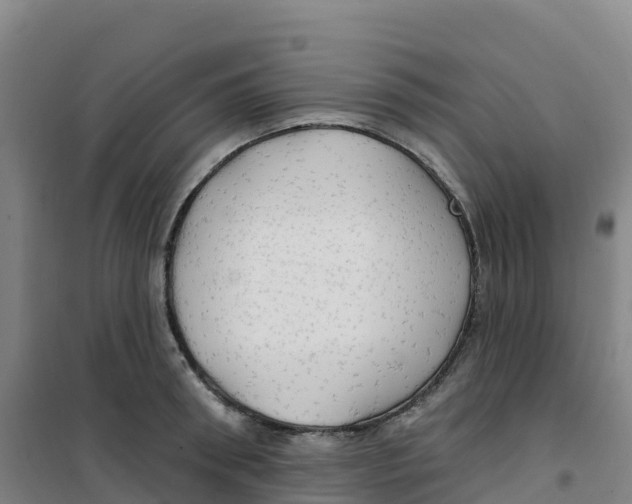 X0000100370898200807031859