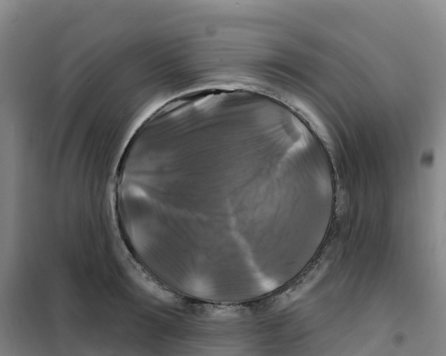 X0000100370899200807031859