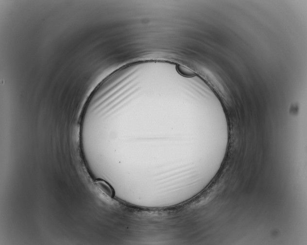 X0000100370900200807031859