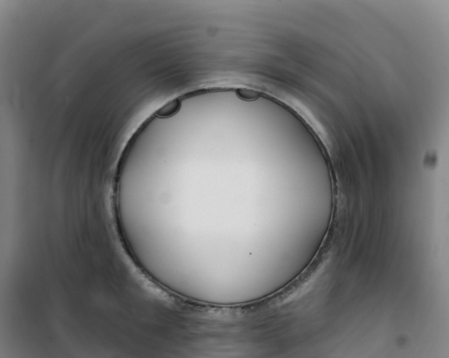 X0000100370901200807031859