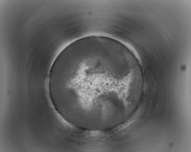 X0000100370903200807031859