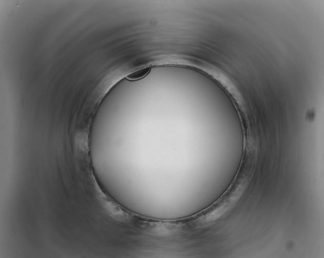 X0000100370905200807031859