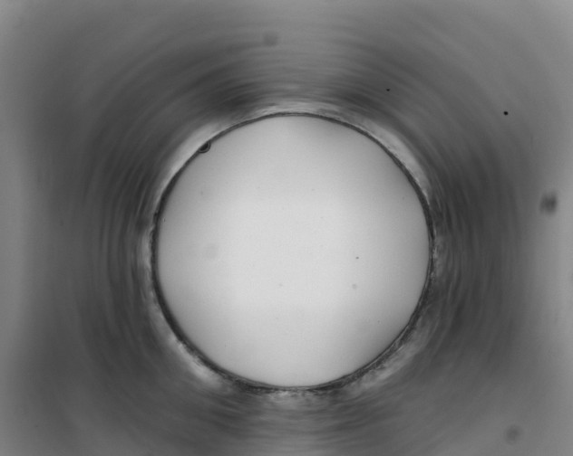 X0000100370906200807031859