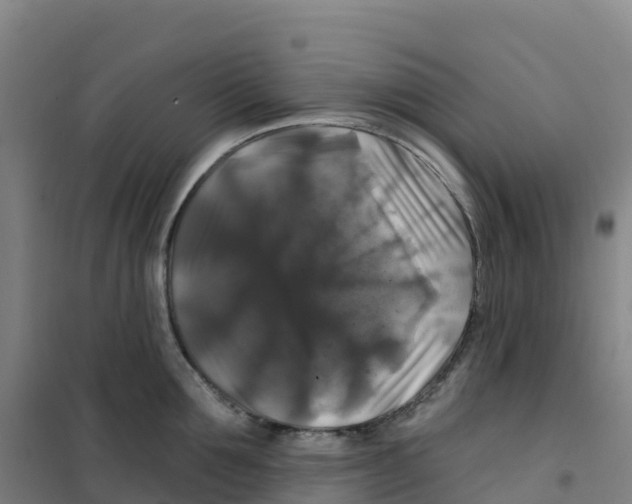 X0000100370907200807031859