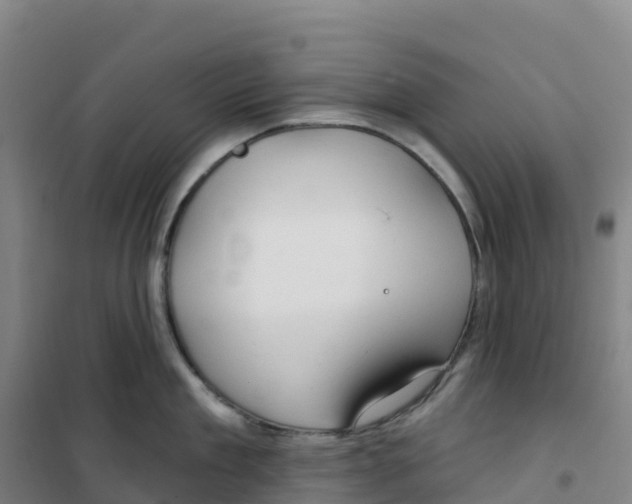 X0000100370909200807031859