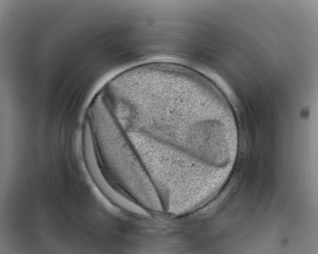 X0000100370910200807031859