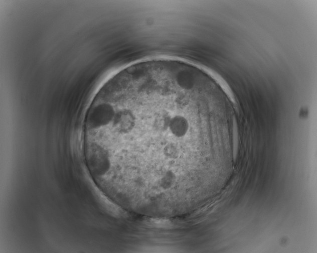 X0000100370911200807031859