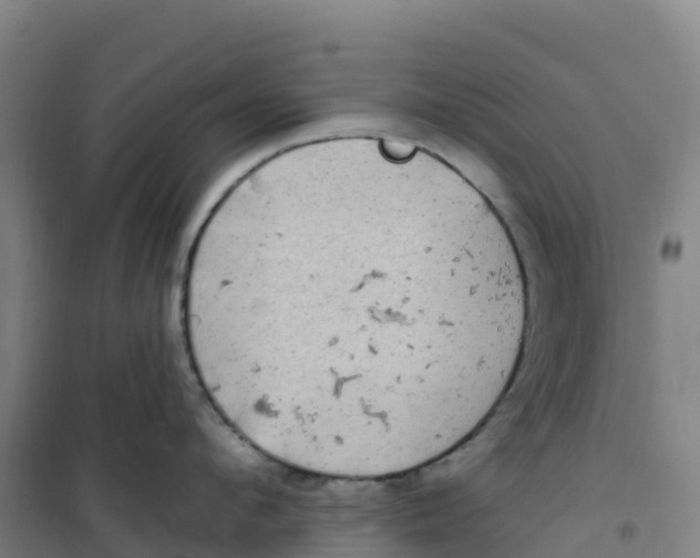 X0000100370912200807031859