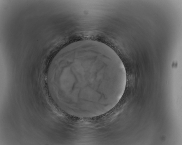 X0000100370913200807031859