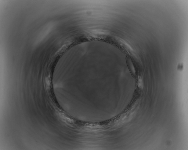 X0000100370915200807031859