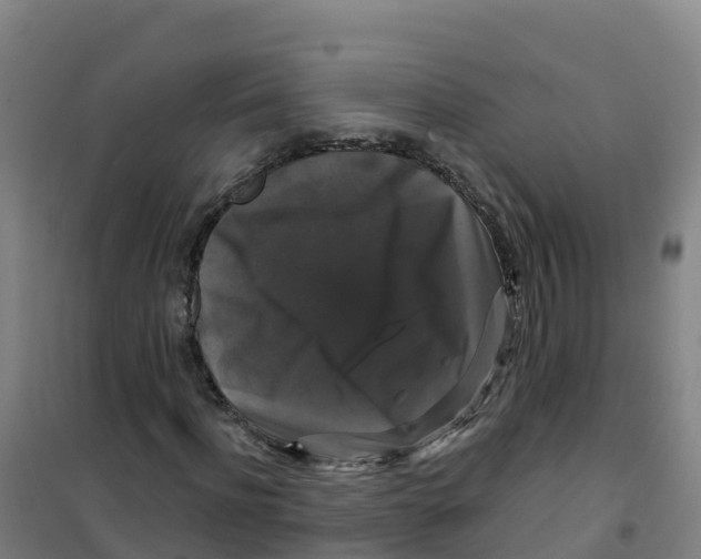 X0000100370916200807031859