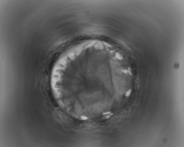 X0000100370917200807031859